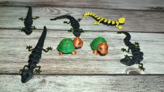 Ještěrka flexibilní