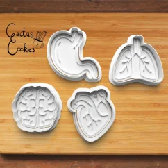 Vykrajovátka - ČLOVĚK a NÁŘADÍ (orgány, kostry, nářadí ... )