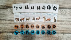 Stopy českých zvířat (s edukativními kartičkami)