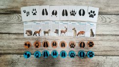 Stopy českých zvířat set (8 kusů + edukační kartičky)