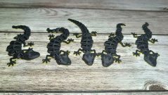 Ještěrka flexibilní