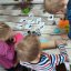 Stopy českých zvířat set (8 kusů + edukační kartičky) - Barva: Zelená-travnatá