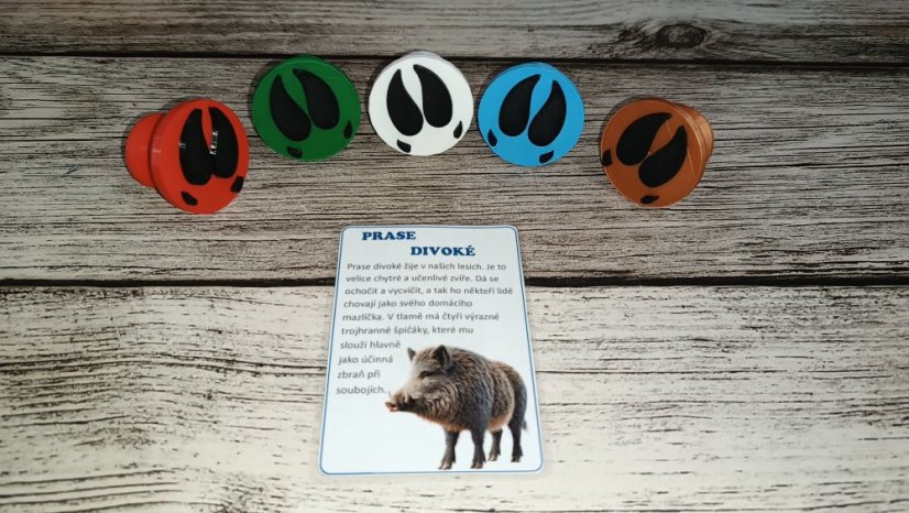 Stopy českých zvířat (s edukativními kartičkami) - Barva: Černá-nebeská