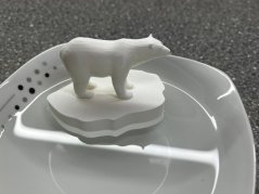 Kry a lední medvěd