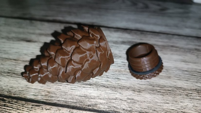 schránka pro hru geocaching - borovicová ŠIŠKA