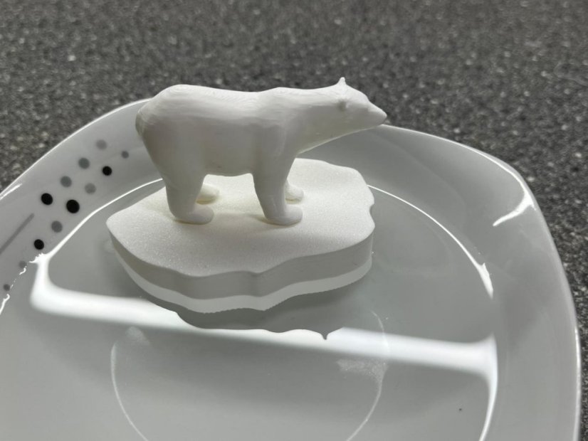 Kry a lední medvěd