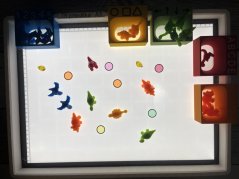 Třídící misky s průsvitným dnem oranžové (k LED panelu)