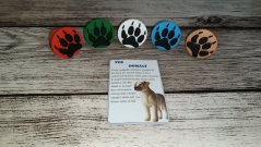 Stopy českých zvířat (s edukativními kartičkami)