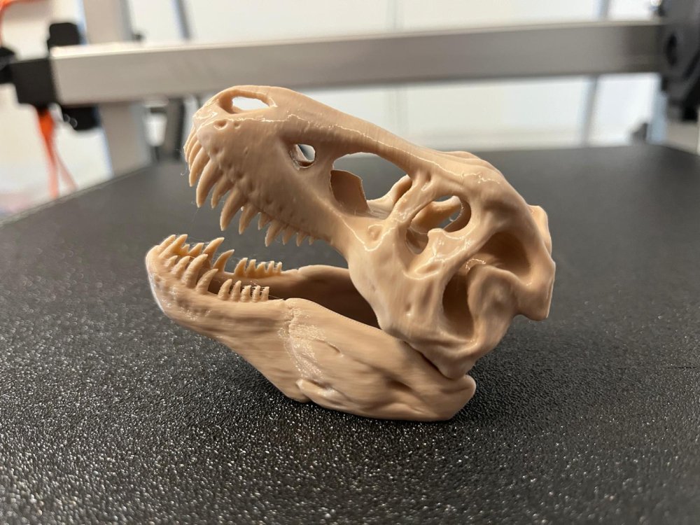 Dinosauři, fosílie, trilobiti apod.