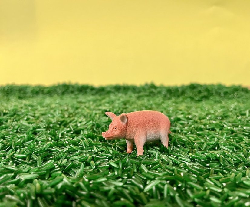 Figurky zvířátek - Learning Resources